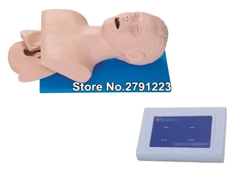 Electronic Adult Trachea Intubation Training Model,Adult Intubation Head Model with Alarm Device
Electronic Adult Trachea Intubation Training Model,Adult Intubation Head Model with Alarm Device