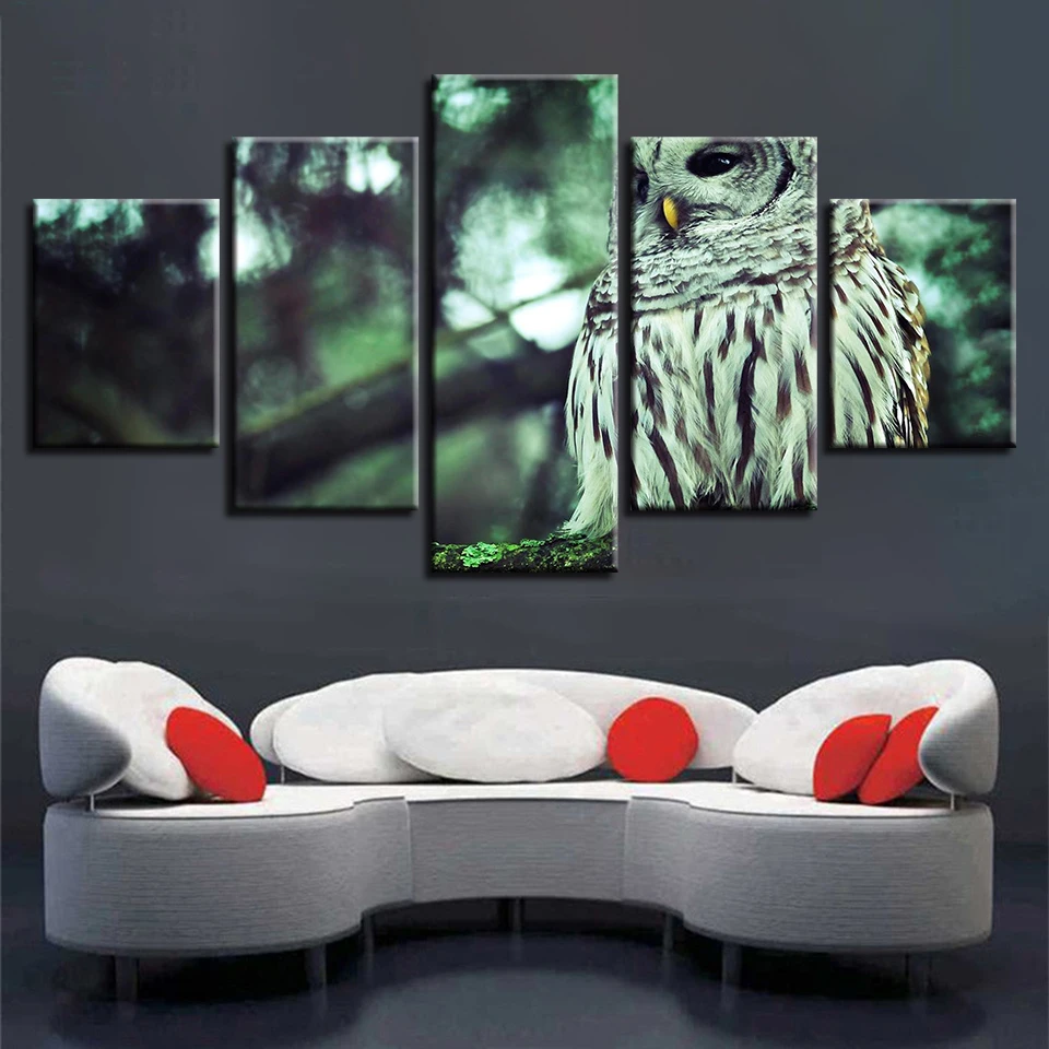 Printing HD Animal Pictures Decoration Home Living Room 5 Pieces Owl Scenery Paintings Modular Canvas Poster Framework Wall Art
Printing HD Animal Pictures Decoration Home Living Room 5 Pieces Owl Scenery Paintings Modular Canvas Poster Framework Wall Art