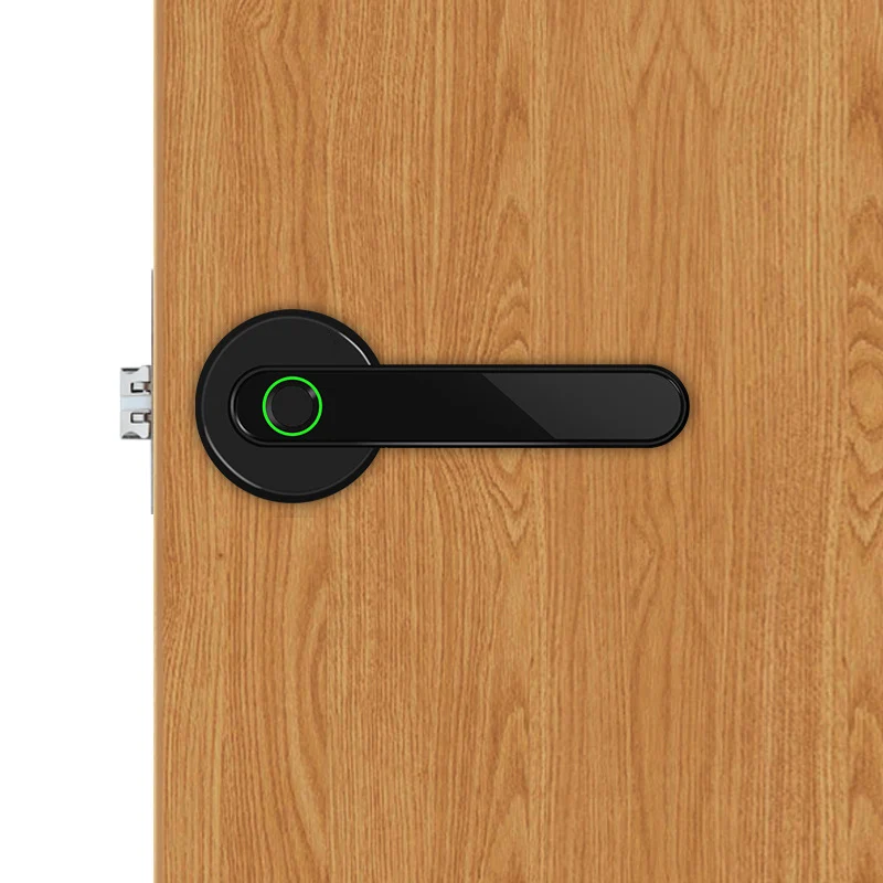 Smart Zinc alloy Bluetooth APP remote control Fingerprint Lock Electric biometric Door Lock 100 Fingerprint Capacity
Smart Zinc alloy Bluetooth APP remote control Fingerprint Lock Electric biometric Door Lock 100 Fingerprint Capacity