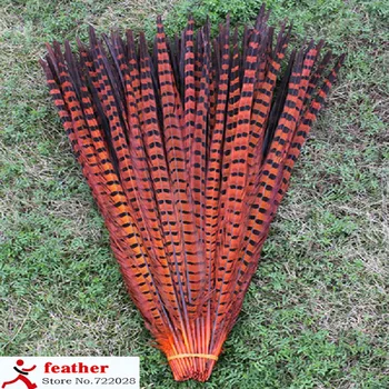 High quality pheasant tail feathers 50 PCS 20-22 inches / 50 to 55 cm beautiful natural orange feather decoration
High quality pheasant tail feathers 50 PCS 20-22 inches / 50 to 55 cm beautiful natural orange feather decoration