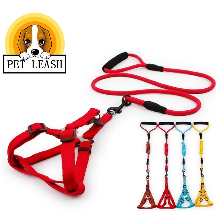 Dog Collar set for Small Puppy Pet Dog Collars Adjustable Buckle Leash Dog-Collar Harness Chihuahua S/M/L/XL Size
Dog Collar set for Small Puppy Pet Dog Collars Adjustable Buckle Leash Dog-Collar Harness Chihuahua S/M/L/XL Size