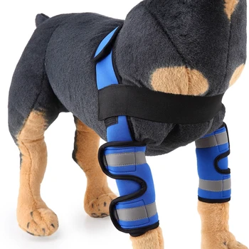 1pair Pet Knee Pads Dog Support Brace For Hind Leg Hock Joint Wrap Injury Recover Legs Protector Recover Legs Dog Protector
1pair Pet Knee Pads Dog Support Brace For Hind Leg Hock Joint Wrap Injury Recover Legs Protector Recover Legs Dog Protector