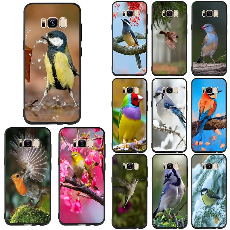 Beautiful Birds Soft TPU Phone Cases for Samsung Galaxy Note 4 8 9 C5 C7 Pro S3 S4 S5 S6 S7 S8 S9 S10 Edge Plus Lite Shell Cover
Beautiful Birds Soft TPU Phone Cases for Samsung Galaxy Note 4 8 9 C5 C7 Pro S3 S4 S5 S6 S7 S8 S9 S10 Edge Plus Lite Shell Cover