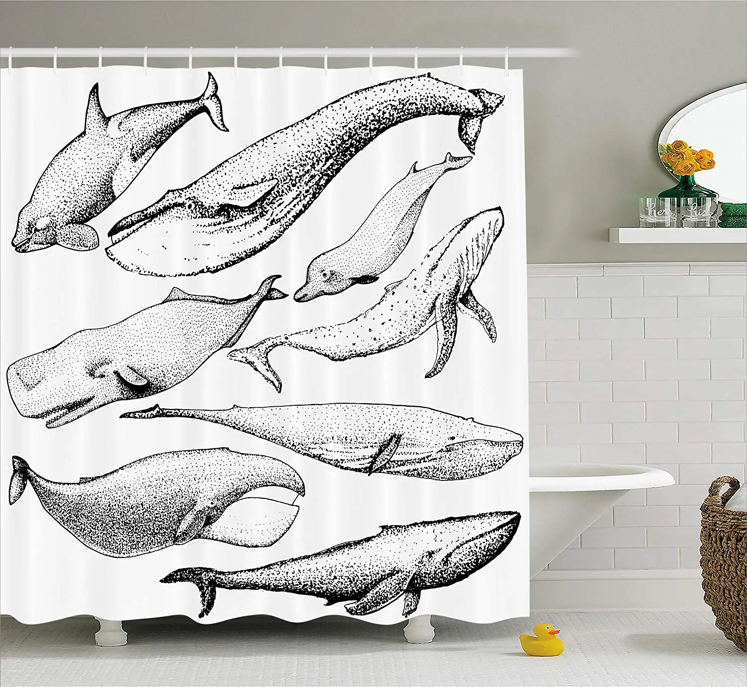 Whale Decor Shower Curtain Hand Drawn Whales from Every Single Type Small and Big Artistic Image Fabric Bathroom Decorations
Whale Decor Shower Curtain Hand Drawn Whales from Every Single Type Small and Big Artistic Image Fabric Bathroom Decorations