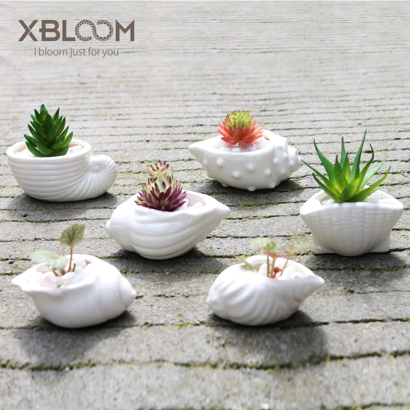 6 pieces of Mediterranean shell conch flowerpot vase white marine animal statue succulent flower pot ceramic home wedding gift
6 pieces of Mediterranean shell conch flowerpot vase white marine animal statue succulent flower pot ceramic home wedding gift