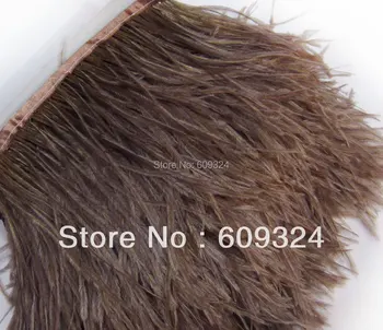Free Shipping FOSSSIL BROWN Ostrich Feather Trimming Fringe on Satin Header, 5- 6"(12-15cm) in width
Free Shipping FOSSSIL BROWN Ostrich Feather Trimming Fringe on Satin Header, 5- 6"(12-15cm) in width