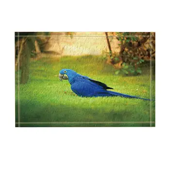 Animal Decor, Blue Parrot Stands on the Grass for Food Against Green Forest Bath Rugs, Non-Slip Funny Indoor Outdoor Doormat
Animal Decor, Blue Parrot Stands on the Grass for Food Against Green Forest Bath Rugs, Non-Slip Funny Indoor Outdoor Doormat