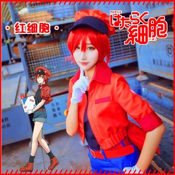 New Anime Working White Blood Cell Erythrocyte Red Blood CellUniforms Cosplay Costume
New Anime Working White Blood Cell Erythrocyte Red Blood CellUniforms Cosplay Costume