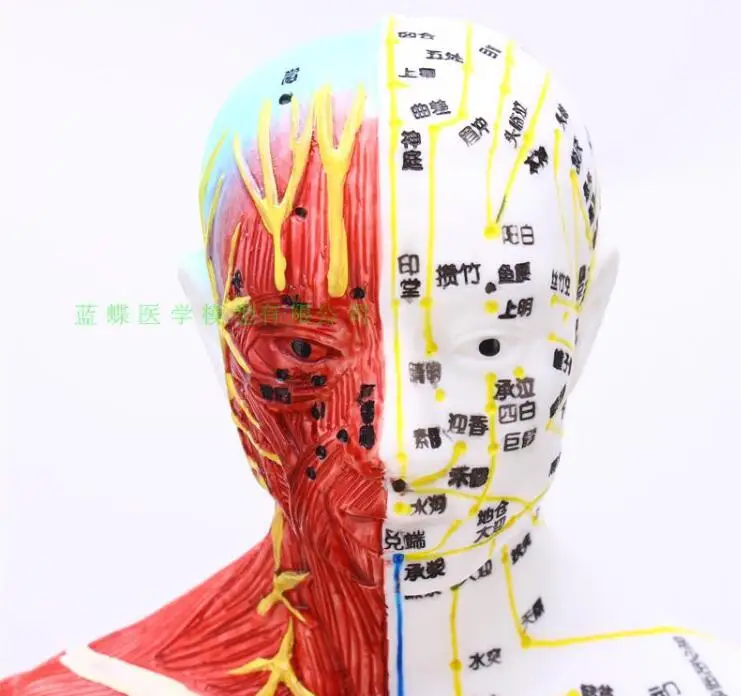 QQ20181111233428