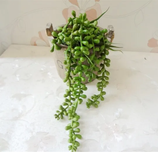 1pcs Plastic Craft Artificial flowers green plants short prayer beads succulents simulation rattan cane ornaments home decor
1pcs Plastic Craft Artificial flowers green plants short prayer beads succulents simulation rattan cane ornaments home decor