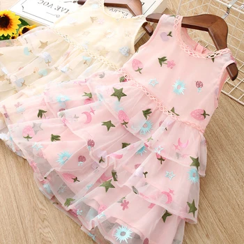 Girls Summer Dress 2020 Girls Sleeveless Flower Embroidery Female Dresses Children Cake Princess Dress Girls Clothing
Girls Summer Dress 2020 Girls Sleeveless Flower Embroidery Female Dresses Children Cake Princess Dress Girls Clothing