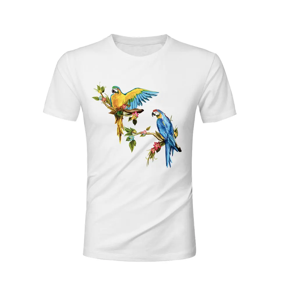 PA-176-BIRDS_05