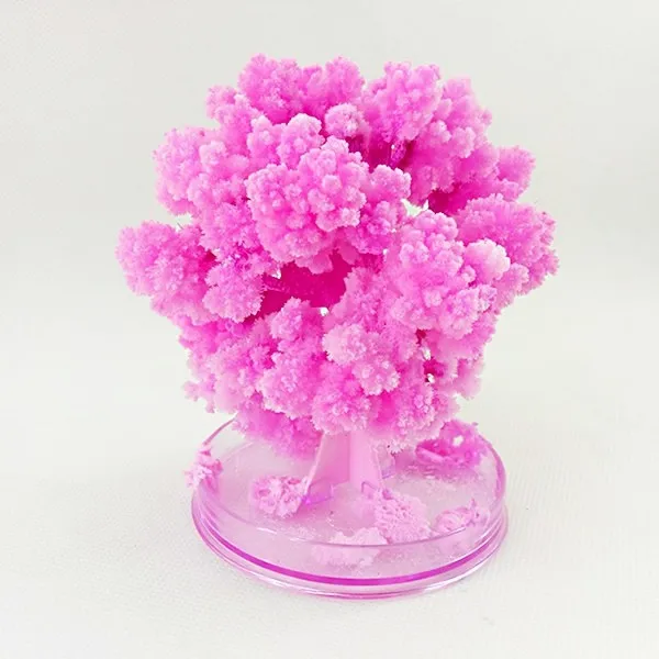 2019 50PCS 10x8cm Artificial Magically Grow Paper Sakura Trees Magic Growing Tree Japan Desktop Cherry Blossom Toys For Children
2019 50PCS 10x8cm Artificial Magically Grow Paper Sakura Trees Magic Growing Tree Japan Desktop Cherry Blossom Toys For Children