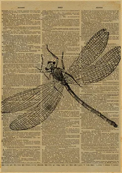 Vintage poster dragonfly Classic Car Movie retro Kraft Paper Movie Poster Antique Bar Pub Cafe Wall sticker 42x30cm
Vintage poster dragonfly Classic Car Movie retro Kraft Paper Movie Poster Antique Bar Pub Cafe Wall sticker 42x30cm