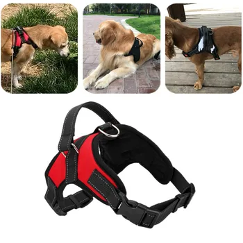 Adjustable Pet Dog Harness Vest Puppy Nylon Walking Reflective Strap Lead Collar Training Accessories For Small Medium Large Dog
Adjustable Pet Dog Harness Vest Puppy Nylon Walking Reflective Strap Lead Collar Training Accessories For Small Medium Large Dog