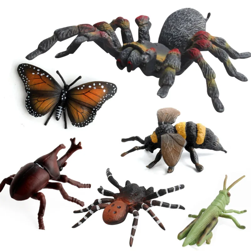 High Quality Simulation Insects Model Toys Mantis Bees Butterfly Spider Animal Model Collection Toys for Kid Children Gifts
High Quality Simulation Insects Model Toys Mantis Bees Butterfly Spider Animal Model Collection Toys for Kid Children Gifts
