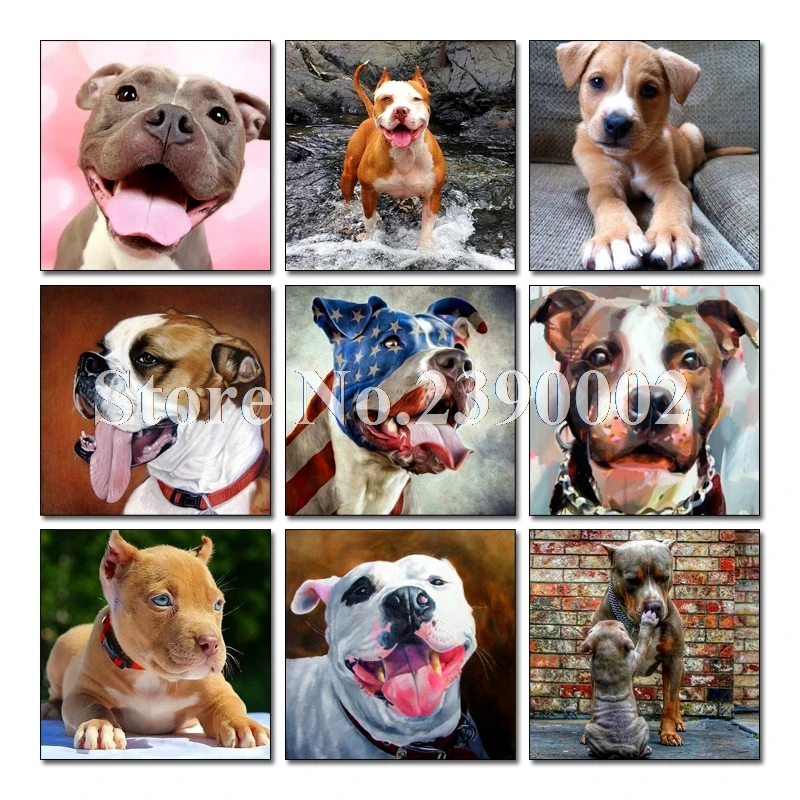 Dog 5D Full Square Diamond Painting Cross Stitch Animal Diamond Embroidery Diamond Mosaic Bull Terrier And Boxer Home Decoration
Dog 5D Full Square Diamond Painting Cross Stitch Animal Diamond Embroidery Diamond Mosaic Bull Terrier And Boxer Home Decoration
