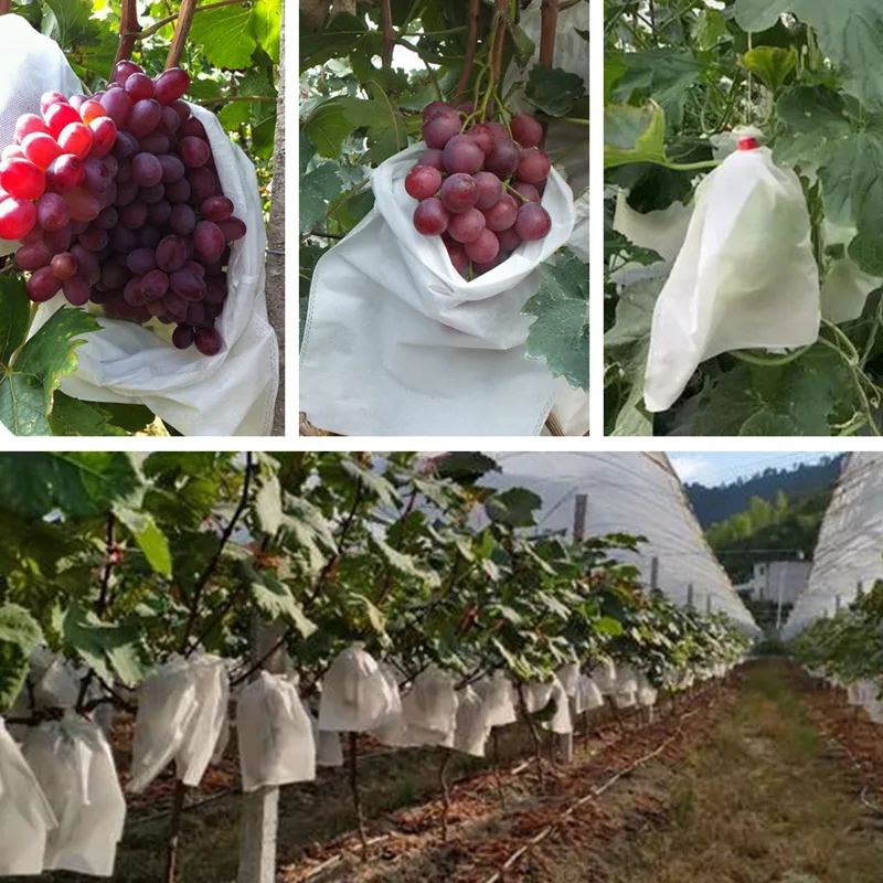 40Pcs Grape Protection Bag Anti Bird Non-woven Bag Reusable Grow Bag Mesh Bag Pouch for Grape Apple Fruit Vegetables
40Pcs Grape Protection Bag Anti Bird Non-woven Bag Reusable Grow Bag Mesh Bag Pouch for Grape Apple Fruit Vegetables