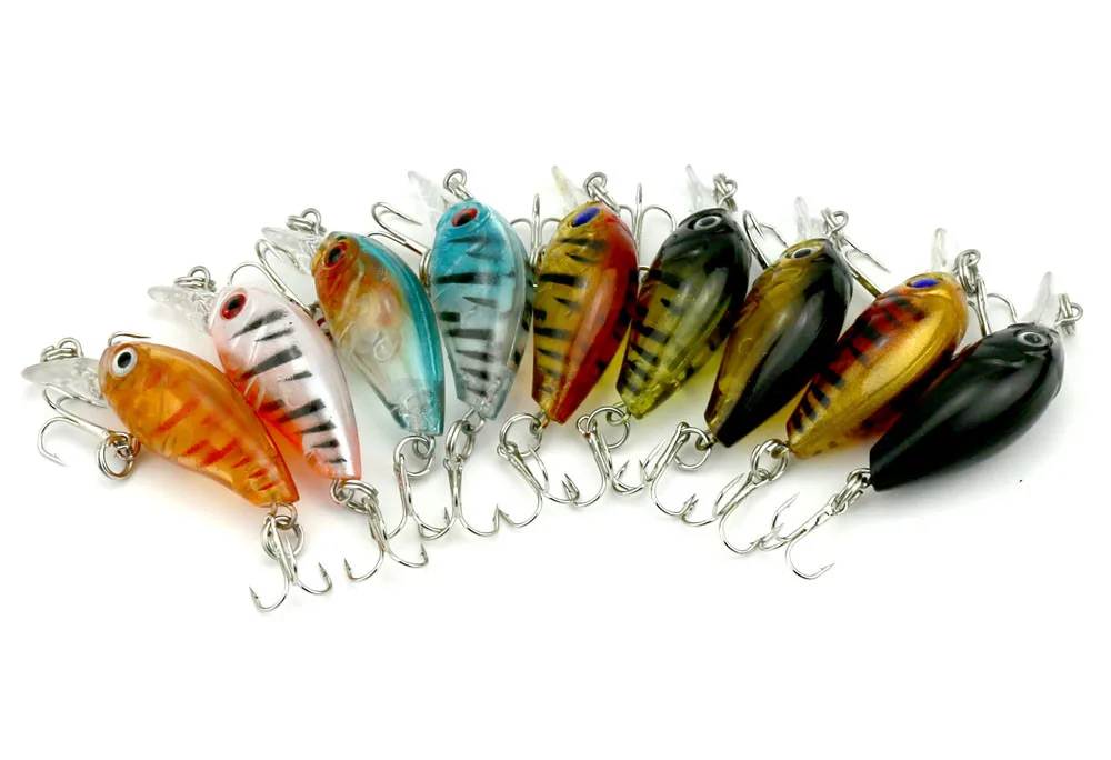 CB005 BAIT (12)