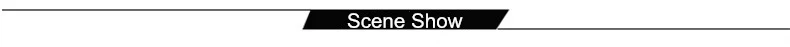 Scene Show