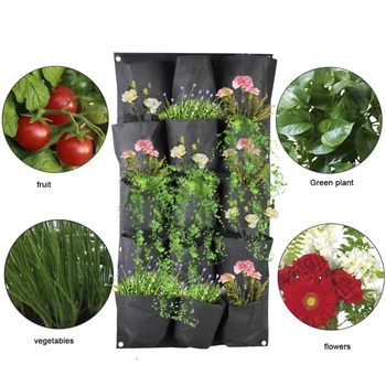 15 Pockets Vertical Growing Bag Waterproof Wall Hanging Planting Pot for Garden Planter
15 Pockets Vertical Growing Bag Waterproof Wall Hanging Planting Pot for Garden Planter