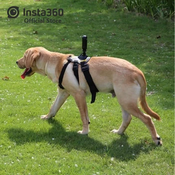 Pet Bundle ( Insta360 ONE X and ONE Accessories )
Pet Bundle ( Insta360 ONE X and ONE Accessories )