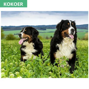 Full,Diamond Embroidery,5D,Diamond Painting,Bourne mountain dog animal Cross Stitch3D,Diamond Mosaic,Needlework,Crafts,Christmas
Full,Diamond Embroidery,5D,Diamond Painting,Bourne mountain dog animal Cross Stitch3D,Diamond Mosaic,Needlework,Crafts,Christmas