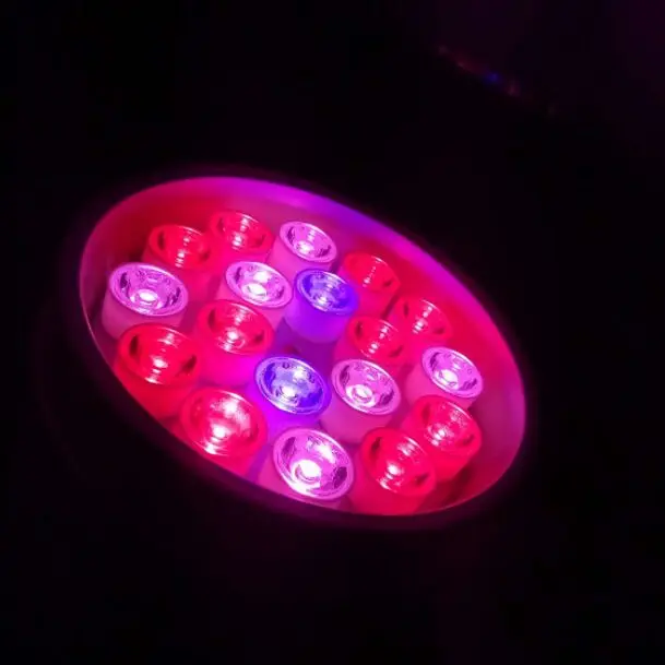 QQ20180821220302