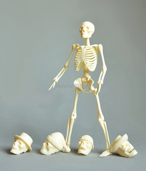 Human anatomical body 20cm assembling skeleton skull model educational brain Traumatism manikin drawing science toys
Human anatomical body 20cm assembling skeleton skull model educational brain Traumatism manikin drawing science toys