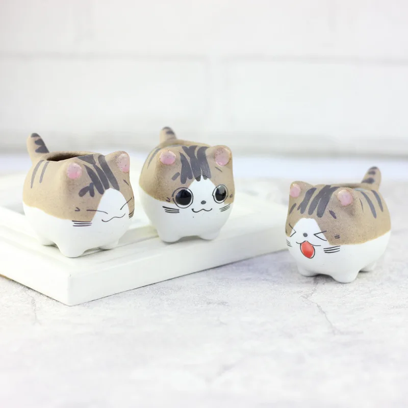 5 pcs/lot cartoon pet cat planter pots hot sale summer succulent plants easy growing flowerpot desktop funny balcony decorative
5 pcs/lot cartoon pet cat planter pots hot sale summer succulent plants easy growing flowerpot desktop funny balcony decorative