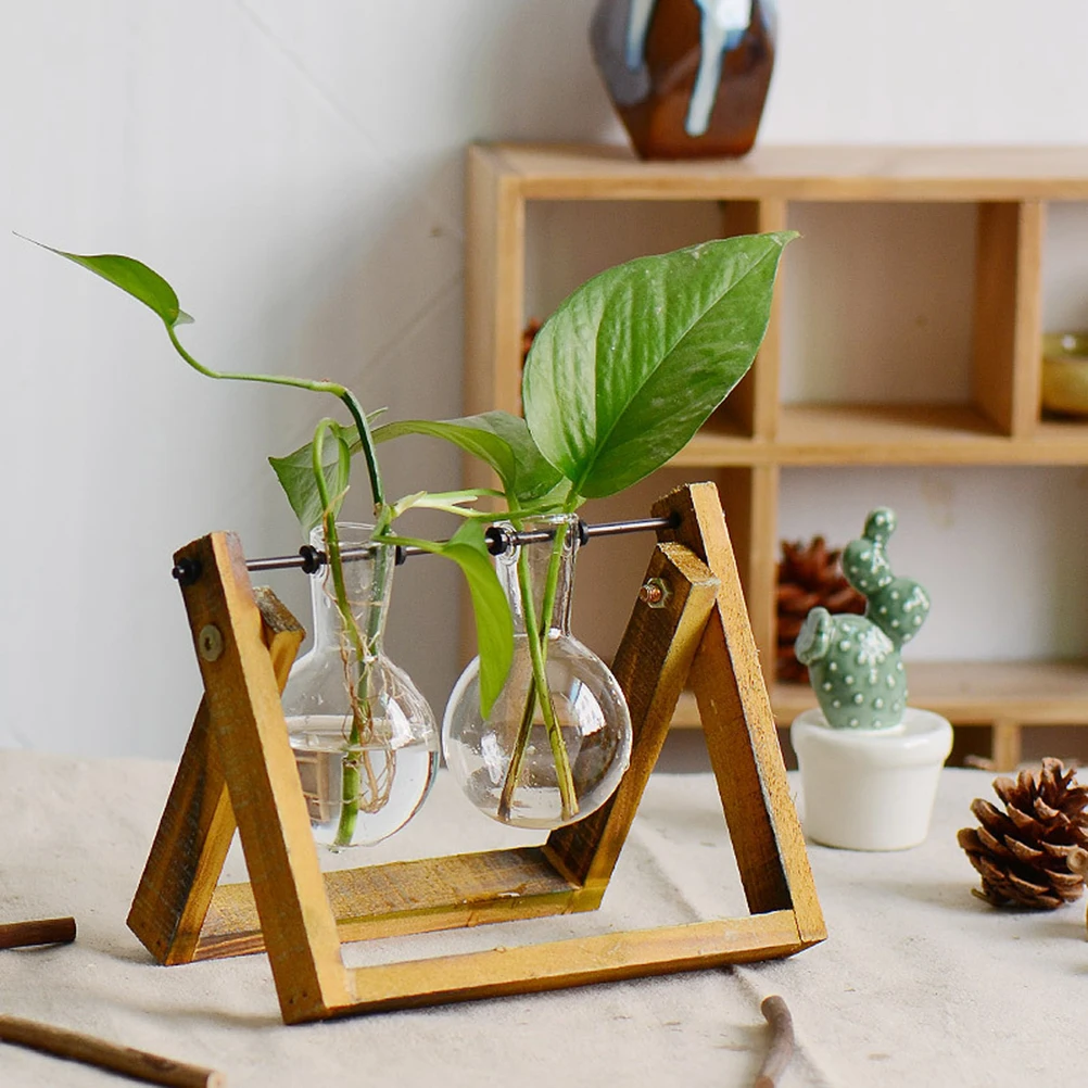 Desktop Glass Planter Bulb Vase with Classic Solid Wooden Stand and Metal Swivel Holder for Hydroponics Plants Home Garden
Desktop Glass Planter Bulb Vase with Classic Solid Wooden Stand and Metal Swivel Holder for Hydroponics Plants Home Garden