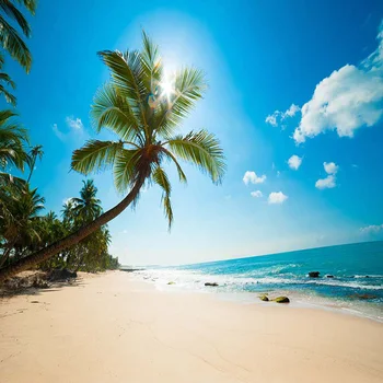 

Blue Sky White Clouds Beach Wedding Photography Backdrops Vinyl Palm Trees Kids Summer Holiday Seaside Scenic Photo Backgrounds