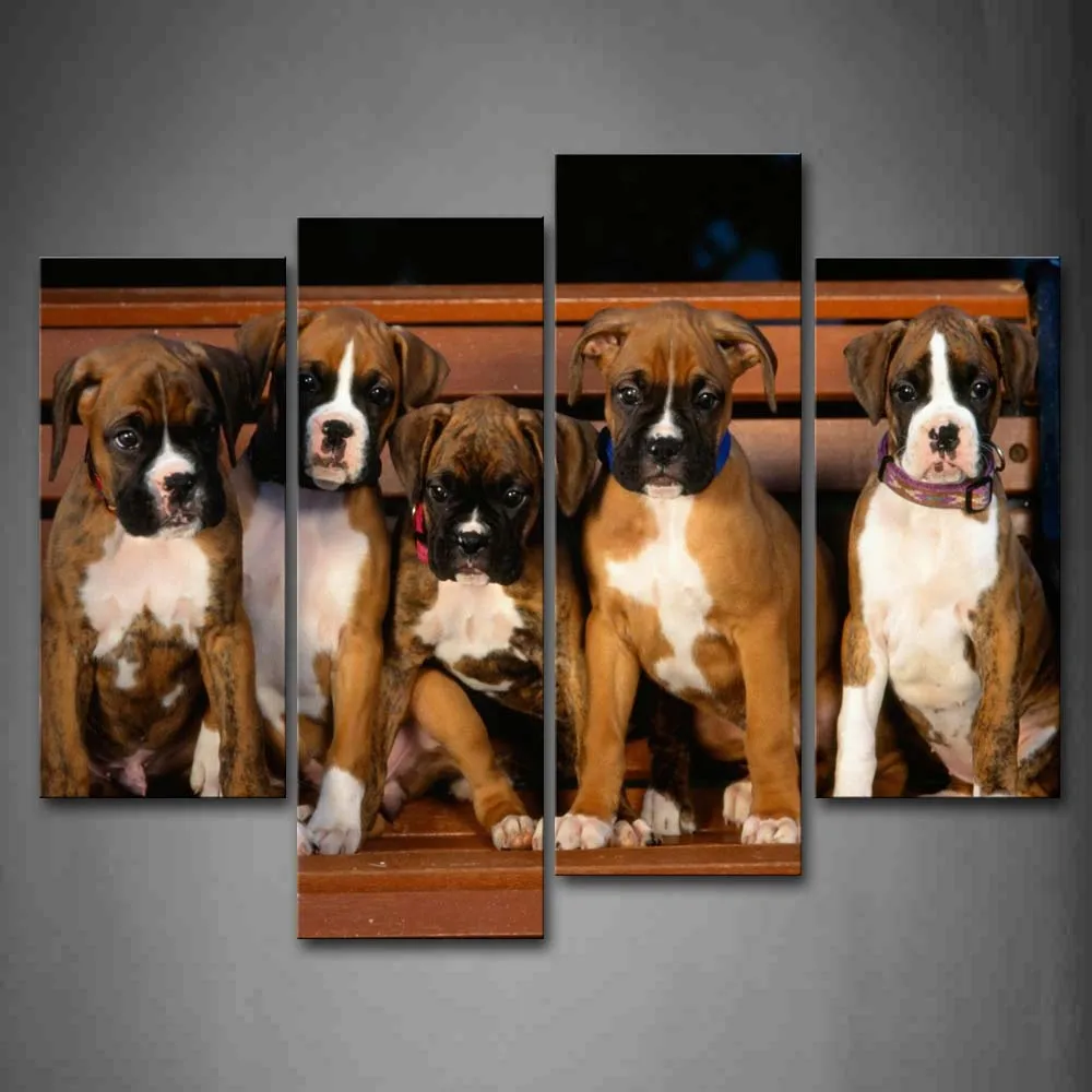 

4 Panels Unframed Wall Art Pictures Boxers Bench Canvas Print Modern Animal Posters No Frames For Home Living Room Decor