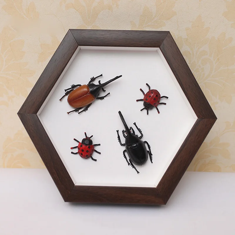 Hexagon Specimen Insect Display Box Photo Frame Footprint Clay Newborn Handmade Artwork Solid Color Frames
Hexagon Specimen Insect Display Box Photo Frame Footprint Clay Newborn Handmade Artwork Solid Color Frames