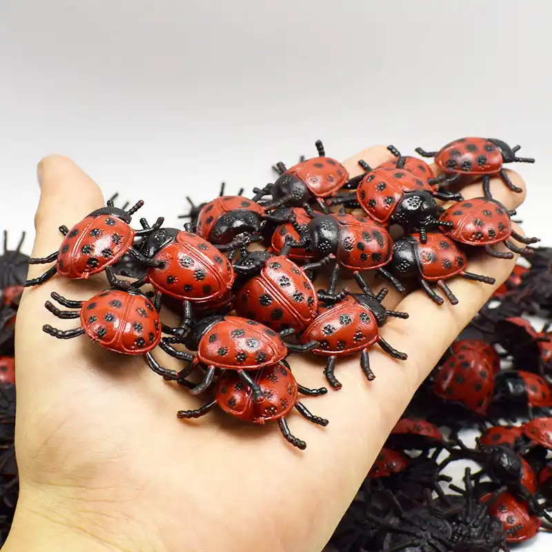 ストレス 比類のない 脊椎 虫 おもちゃ Spencergshaw Org