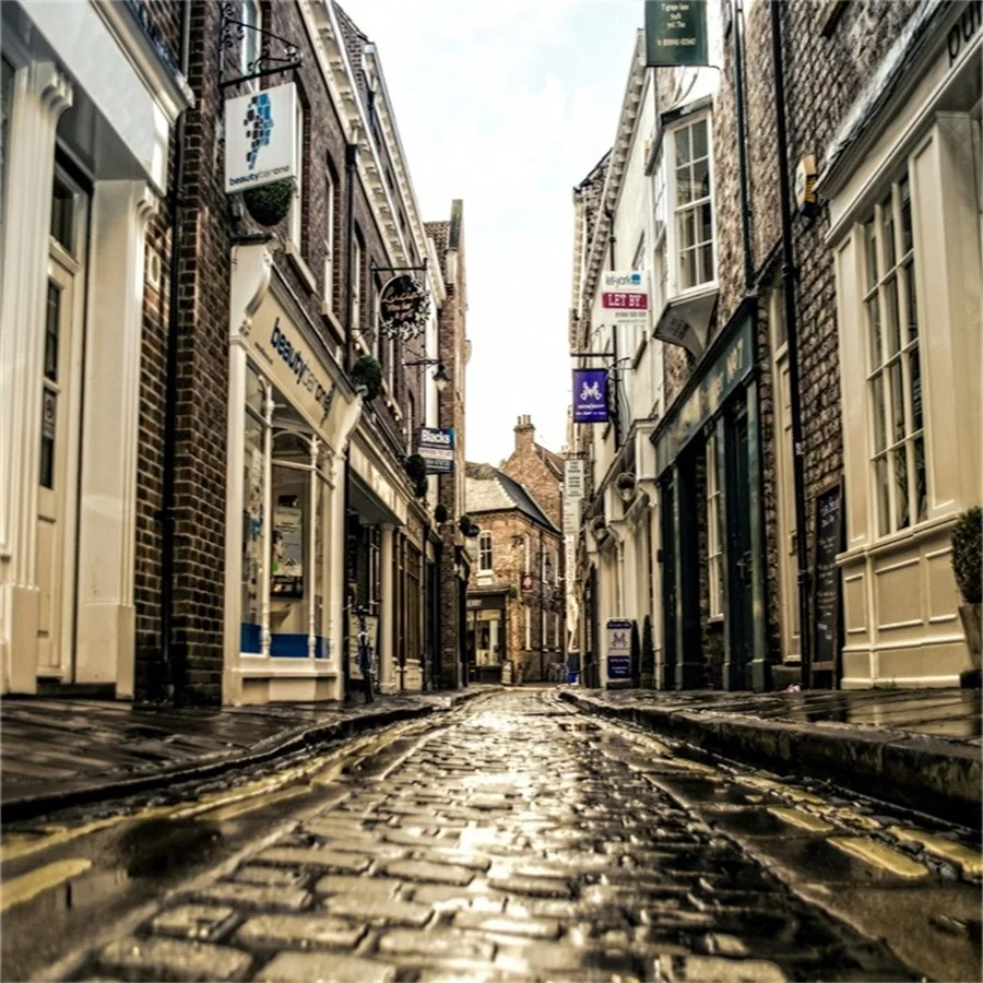 Laeacco Vintage Town Buildings Brick Stree Alley Scene Photography Backgrounds Vinyl Photographic Backdrops For Photo Studio
Laeacco Vintage Town Buildings Brick Stree Alley Scene Photography Backgrounds Vinyl Photographic Backdrops For Photo Studio