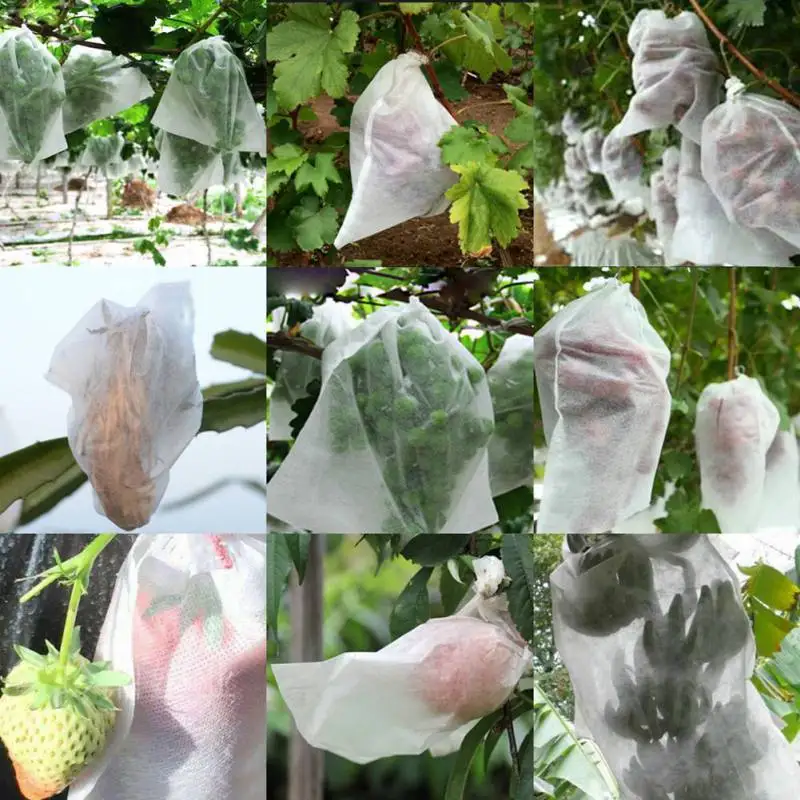 10pcs Reusable Produce Bags Washable Eco Friendly Bags for Grocery Shopping Storage Fruit Vegetable Toys Sundries
10pcs Reusable Produce Bags Washable Eco Friendly Bags for Grocery Shopping Storage Fruit Vegetable Toys Sundries