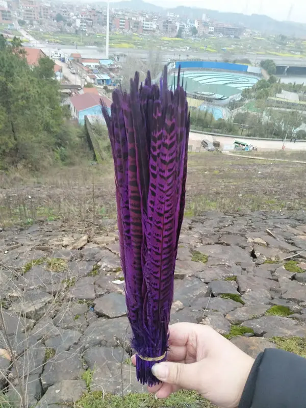 DCBE42854101C279AE0F8B36B9404D10