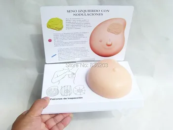 Human Female left Breast with Irregular Masses Breast Self Examination Model Anatomical anatomy skeleton veterinary anatomia
Human Female left Breast with Irregular Masses Breast Self Examination Model Anatomical anatomy skeleton veterinary anatomia