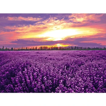 Full Square Diamond 5D DIY Diamond Painting a piece of lavender Embroidery Cross Stitch Mosaic Painting Decor
Full Square Diamond 5D DIY Diamond Painting a piece of lavender Embroidery Cross Stitch Mosaic Painting Decor