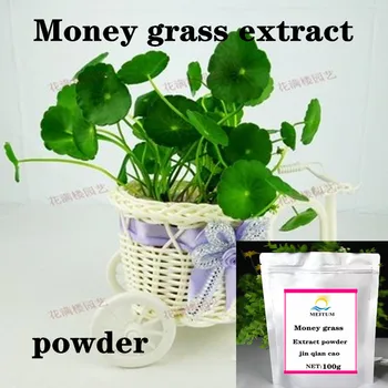 High quality money grass extract powder / off-the-shelf 10:1 extract money grass extract powder / free shipping
High quality money grass extract powder / off-the-shelf 10:1 extract money grass extract powder / free shipping
