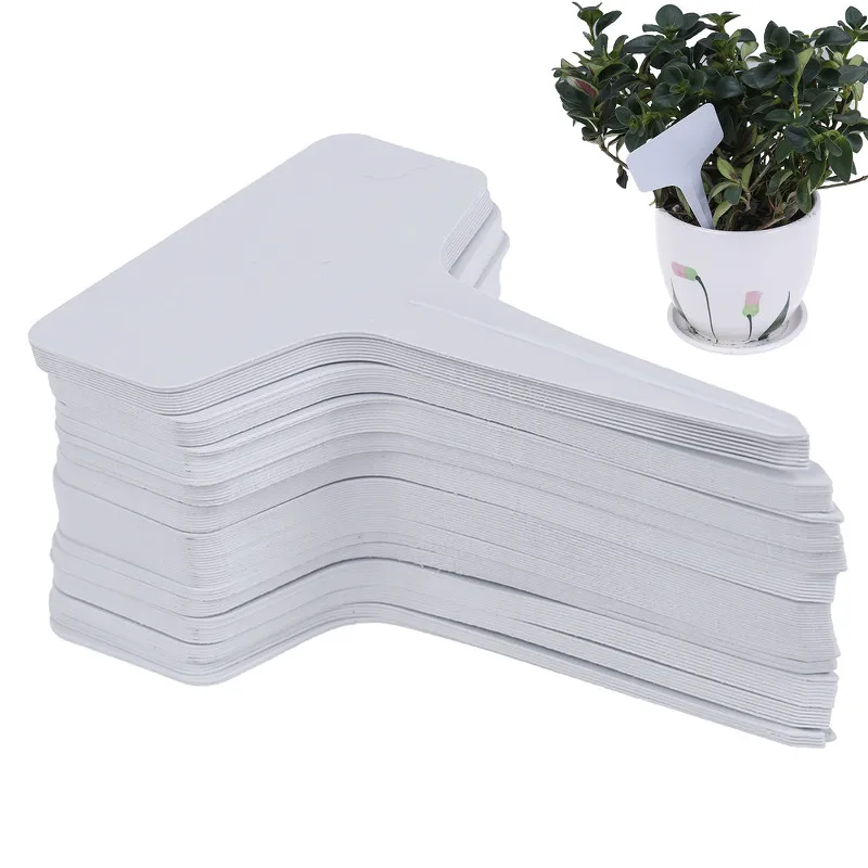 100 Pcs White Garden Labels Plug In Card Gardening Plant Classification Sorting Sign Tag Ticket Plastic Writing Plate Board
100 Pcs White Garden Labels Plug In Card Gardening Plant Classification Sorting Sign Tag Ticket Plastic Writing Plate Board