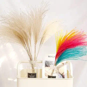 Natural Reed Bloom Flower Dried Flowers DIY Home Decorations Shooting Photography Pretty Photo Backdrops Background Adornment
Natural Reed Bloom Flower Dried Flowers DIY Home Decorations Shooting Photography Pretty Photo Backdrops Background Adornment