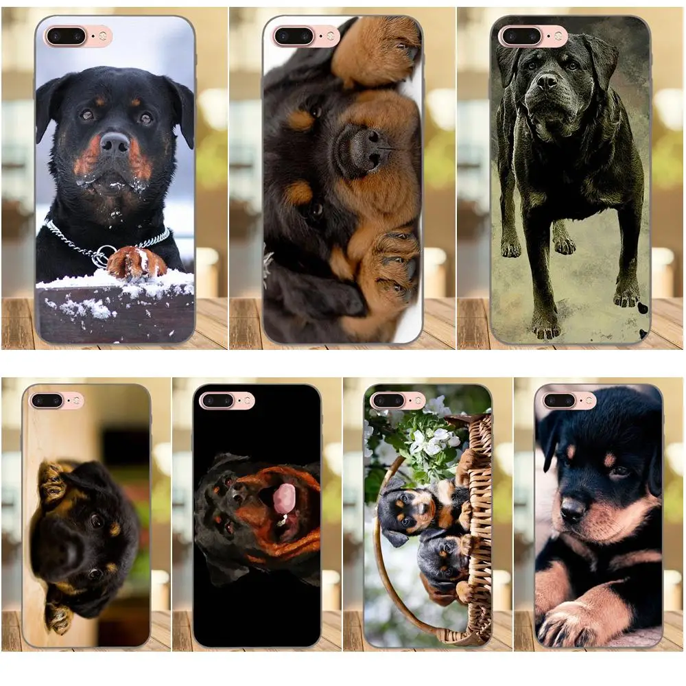 Soft Cell Phone Rottweiler Dog Puppies For Huawei Honor Enjoy Mate Note 6s 8 9 10 20 Lite Play Pro P smart
Soft Cell Phone Rottweiler Dog Puppies For Huawei Honor Enjoy Mate Note 6s 8 9 10 20 Lite Play Pro P smart