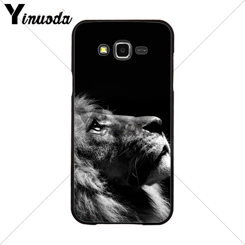 Animals The lion