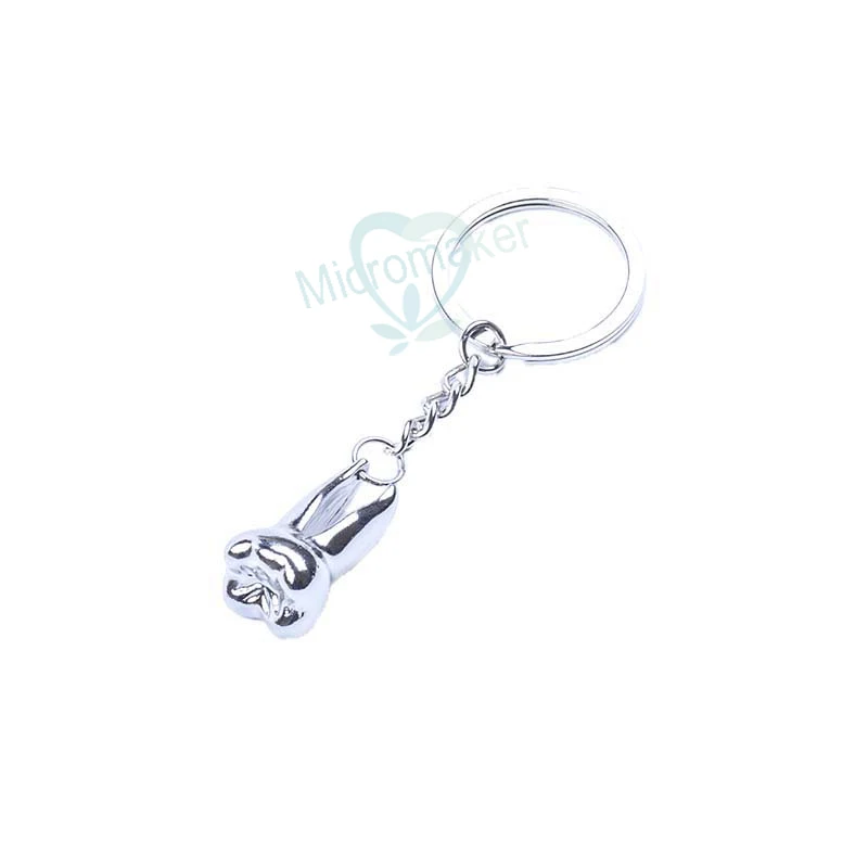 Silver Teeth Keychain Dentist Decoration Key Chains Stainless Steel Tooth Model Shape Dental Clinic Small Gift
Silver Teeth Keychain Dentist Decoration Key Chains Stainless Steel Tooth Model Shape Dental Clinic Small Gift