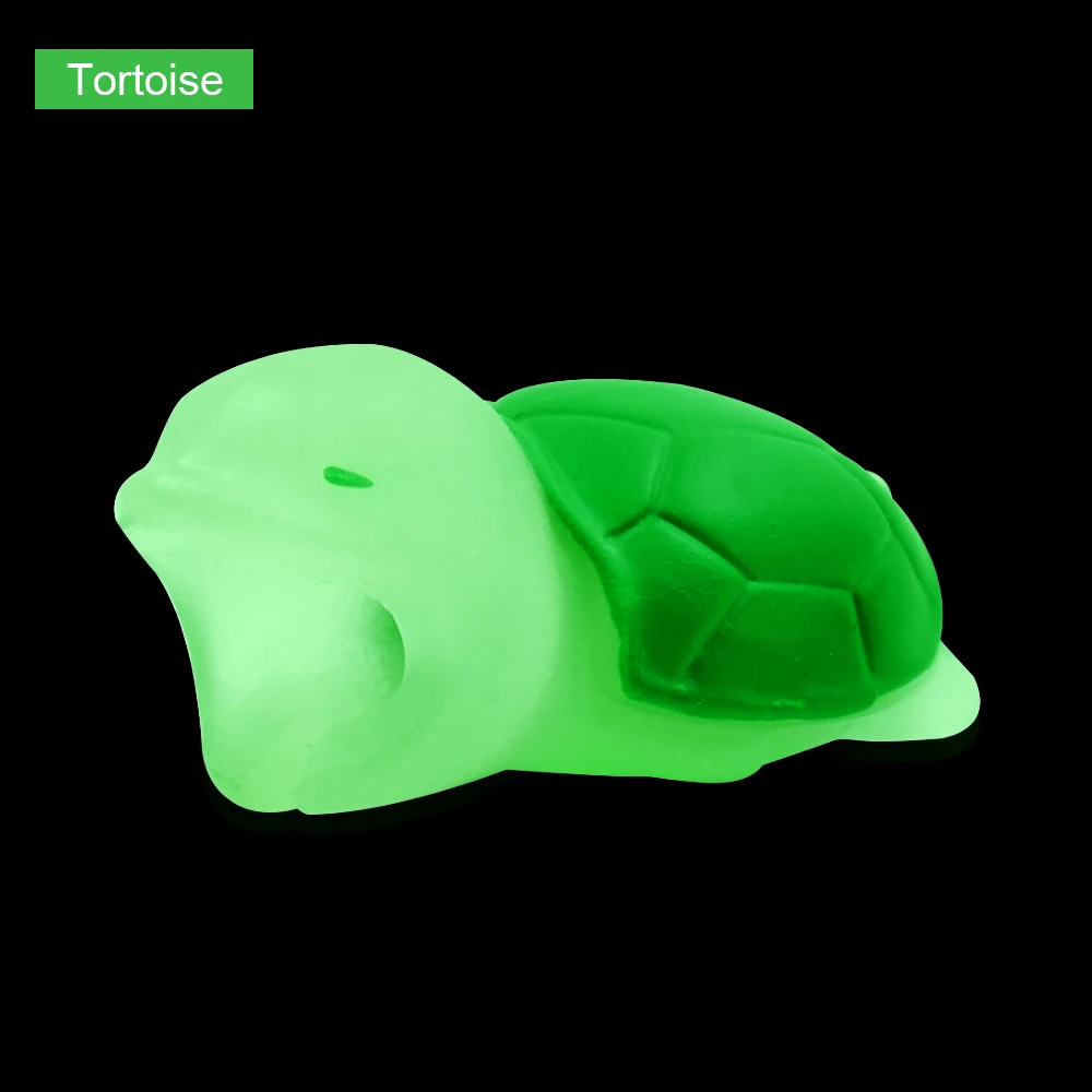 Tortoise (2)