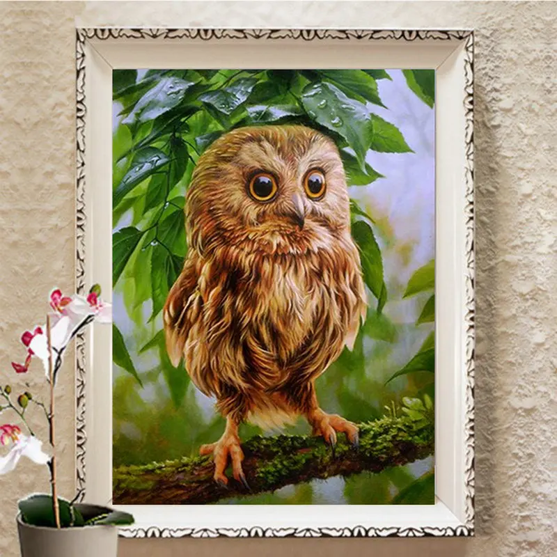 5D DIY Brown Owl on Tree Cute Diamond Mosaic Painting Birds Mosaic Full Drill Round Diamond Cross Stitch Diamond Picture Decor
5D DIY Brown Owl on Tree Cute Diamond Mosaic Painting Birds Mosaic Full Drill Round Diamond Cross Stitch Diamond Picture Decor