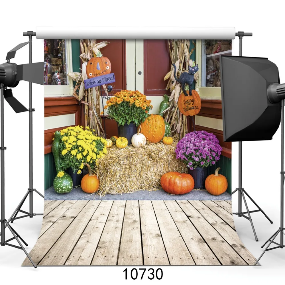 Happy Halloween Backdrop Harvest Pumpkins and Chrysanthemums on a Bale of Straw Backgrounds for Studio Party Newborn Photophone
Happy Halloween Backdrop Harvest Pumpkins and Chrysanthemums on a Bale of Straw Backgrounds for Studio Party Newborn Photophone