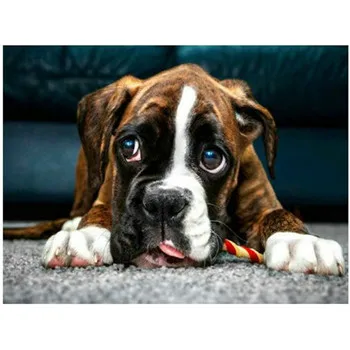 YIKEE 5D Diamond Painting Full Drill Square Dog diamond painting full square animal DIY Hobby Home Decoration k875
YIKEE 5D Diamond Painting Full Drill Square Dog diamond painting full square animal DIY Hobby Home Decoration k875